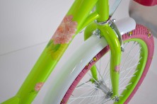 Велосипед дитячий двоколісний ROSES 16" Green зелений